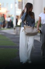 SOFIA VERGARA Out with Her New Chihuahua Puppy, Amore 11/11/2024
