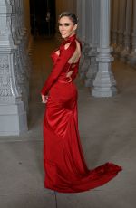 TARA DOLLINGER at 2024 LACMA Art and Film Gala Presented by Gucci in Los Angeles 11/02/2024