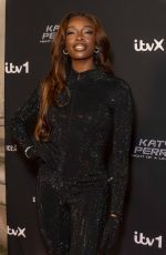 AJ ODUDU at Katy Perry: Night of a Lifetime in London 12/11/2024