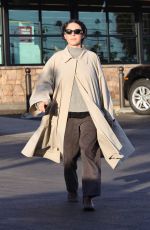 ALIA SHAWKAT Out Shopping in Los Angeles 12/01/2024