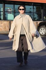 ALIA SHAWKAT Out Shopping in Los Angeles 12/01/2024