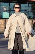 ALIA SHAWKAT Out Shopping in Los Angeles 12/01/2024
