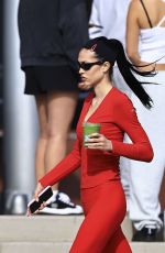 AMELIA HAMLIN Grabs Matcha After Workout at Alo Gym in Los Angeles 12/23/2024
