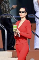 AMELIA HAMLIN Grabs Matcha After Workout at Alo Gym in Los Angeles 12/23/2024