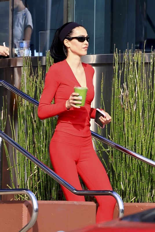 AMELIA HAMLIN Grabs Matcha After Workout at Alo Gym in Los Angeles 12/23/2024