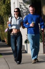 AMELIA HAMLIN Out with Mystery Man in West Hollywood 12/18/2024