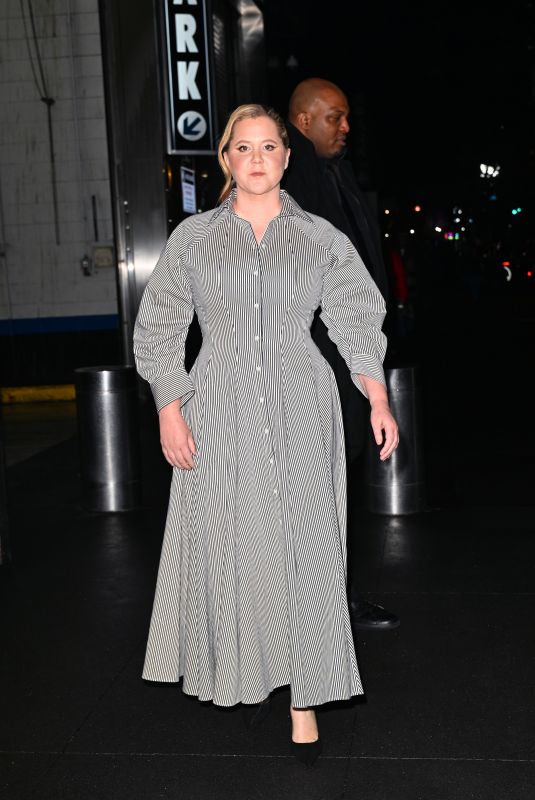 AMY SCHUMER Arrives at Comic Relief Gala Event in New York 12/09/2024