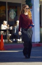 ASHLEE SIMPSON Out for Christmas Shopping in Bel Air 12/12/2024