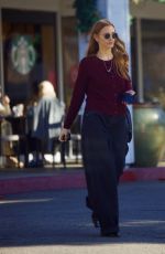 ASHLEE SIMPSON Out for Christmas Shopping in Bel Air 12/12/2024