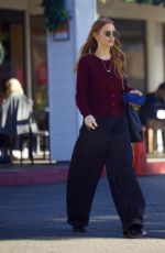 ASHLEE SIMPSON Out for Christmas Shopping in Bel Air 12/12/2024