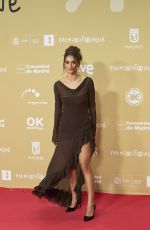 BEGONA VARGAS at 30th Jose Maria Forque Awards in Madrid 12/14/2024