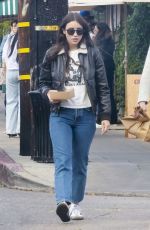CAYLEE COWAN and Casey Affleck Out for Lunch with Friends in Los Feliz 12/14/2024