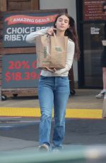 CAYLEE COWAN and Casey Affleck Out on Grocery Shopping at Lazy Acres in Los Feliz 12/28/2024