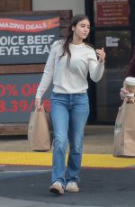 CAYLEE COWAN and Casey Affleck Out on Grocery Shopping at Lazy Acres in Los Feliz 12/28/2024