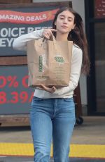 CAYLEE COWAN and Casey Affleck Out on Grocery Shopping at Lazy Acres in Los Feliz 12/28/2024