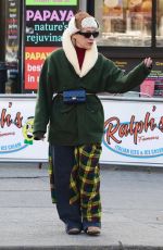 CHLOE SEVIGNY Out and About in New York 12/02/2024