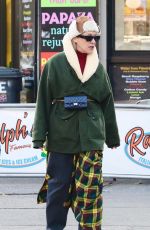 CHLOE SEVIGNY Out and About in New York 12/02/2024