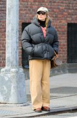 CHLOE SEVIGNY Out and About in New York City 12/17/2024