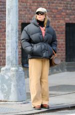 CHLOE SEVIGNY Out and About in New York City 12/17/2024