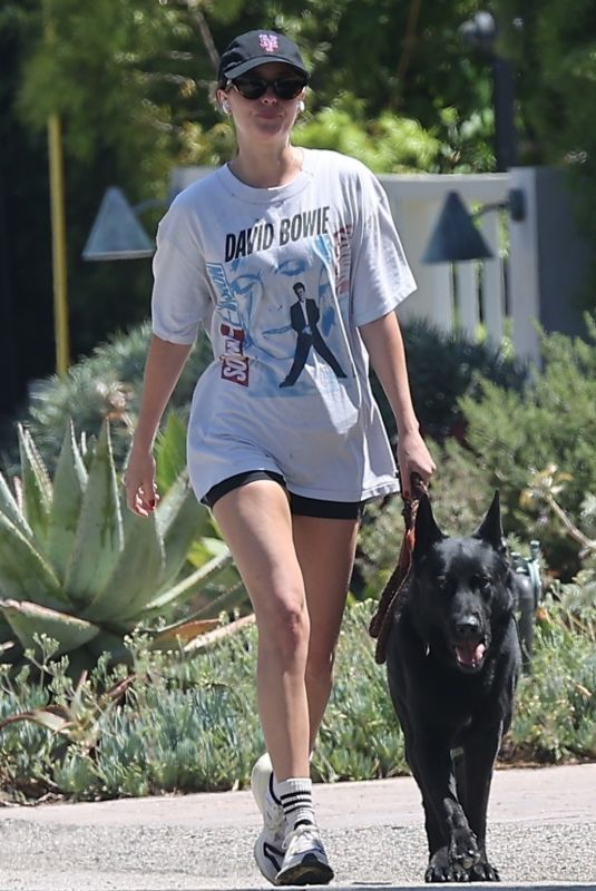 DAKOTA JOHNSON Walks Her Dog Out in Malibu 12/19/2024