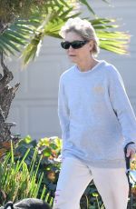 DEE WALLACE Out with Her Dog in Los Angeles 12/26/2024
