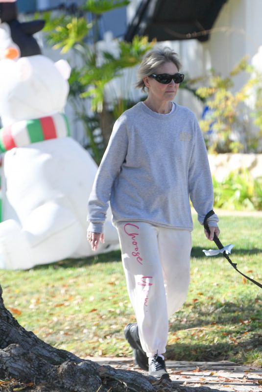 DEE WALLACE Out with Her Dog in Los Angeles 12/26/2024