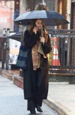 DIANNA AGRON Out and About in New York 12/09/2024