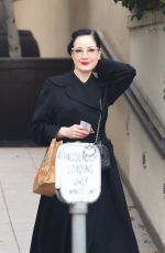 DITA VON TEESE Heading to a Pilates Class in Los Feliz 12/24/2024