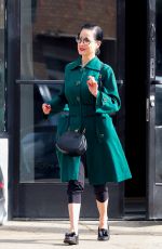 DITA VON TEESE Leaves Yoga Session in Los Angeles 11/30/2024