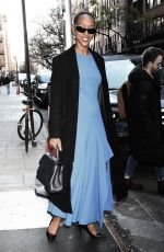 EBONY OBSIDIAN Leaves Good Day NY in New York 12/18/2024