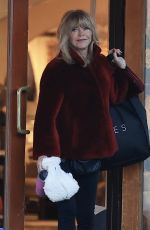 GOLDIE HAWN Out Shopping in Aspen 12/20/2024