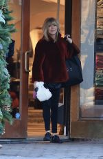 GOLDIE HAWN Out Shopping in Aspen 12/20/2024