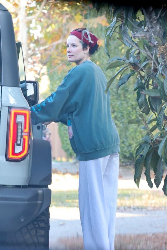 HALSEY Out and About in Los Angeles 12/09/2024