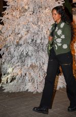HELEN LASICHANH Out for Dinner in Paris 12/17/2024