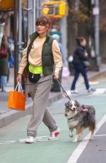 HELENA CHRISTENSEN Out Shopping with Her Dog 12/19/2024