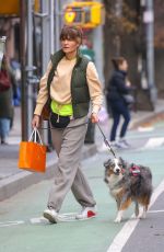 HELENA CHRISTENSEN Out Shopping with Her Dog 12/19/2024