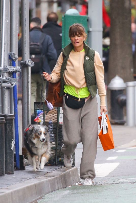 HELENA CHRISTENSEN Out Shopping with Her Dog 12/19/2024