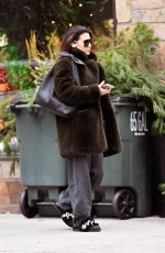 HILARIA BALDWIN Out and About in New York 12/20/2024