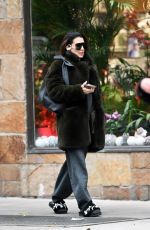 HILARIA BALDWIN Out and About in New York 12/20/2024