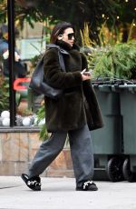 HILARIA BALDWIN Out and About in New York 12/20/2024