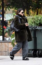 HILARIA BALDWIN Out and About in New York 12/20/2024