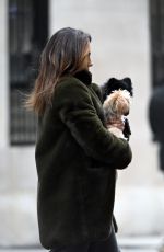 HILARIA BALDWIN Out and About in New York 12/20/2024