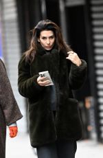 HILARIA BALDWIN Out and About in New York 12/20/2024