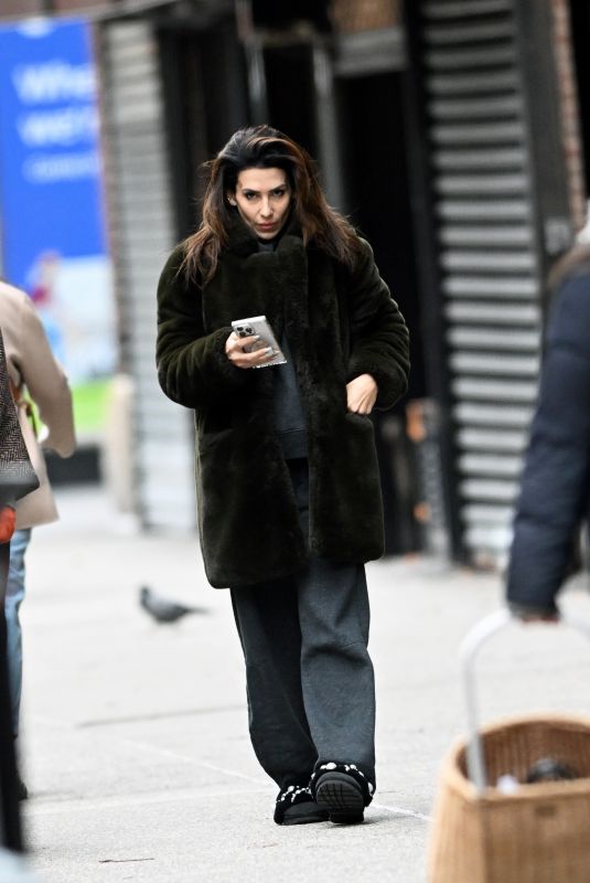 HILARIA BALDWIN Out and About in New York 12/20/2024