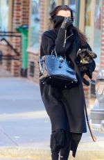 IRINA SHAYK Out and About in New York City 12/04/2024