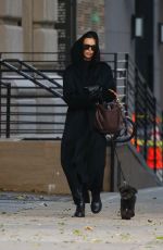 IRINA SHAYK Out with Her Dog in New York City 12/05/2024