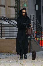 IRINA SHAYK Out with Her Dog in New York City 12/05/2024