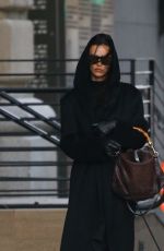 IRINA SHAYK Out with Her Dog in New York City 12/05/2024