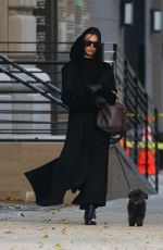 IRINA SHAYK Out with Her Dog in New York City 12/05/2024