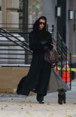 IRINA SHAYK Out with Her Dog in New York City 12/05/2024